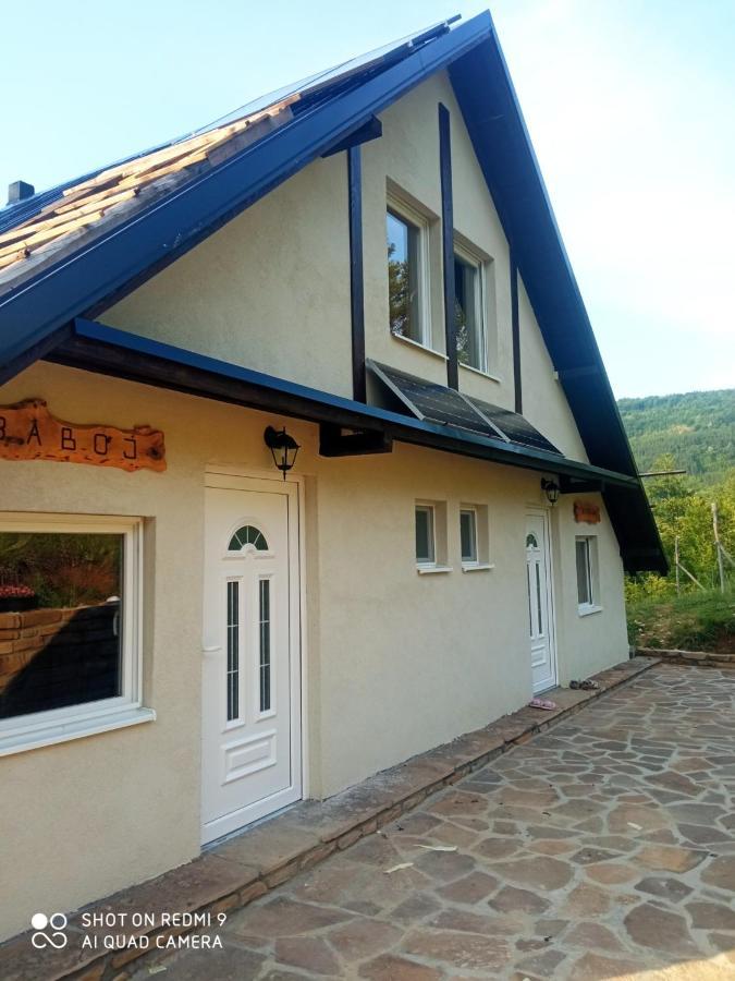Zavojsko Jezero - Vila Jezero Pirot Kültér fotó