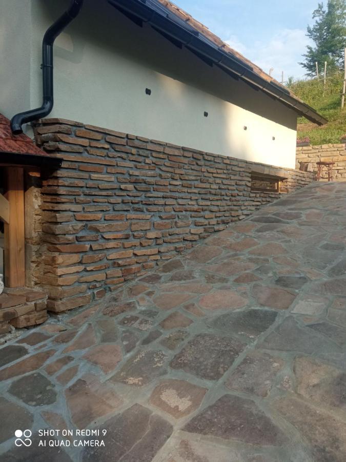 Zavojsko Jezero - Vila Jezero Pirot Kültér fotó