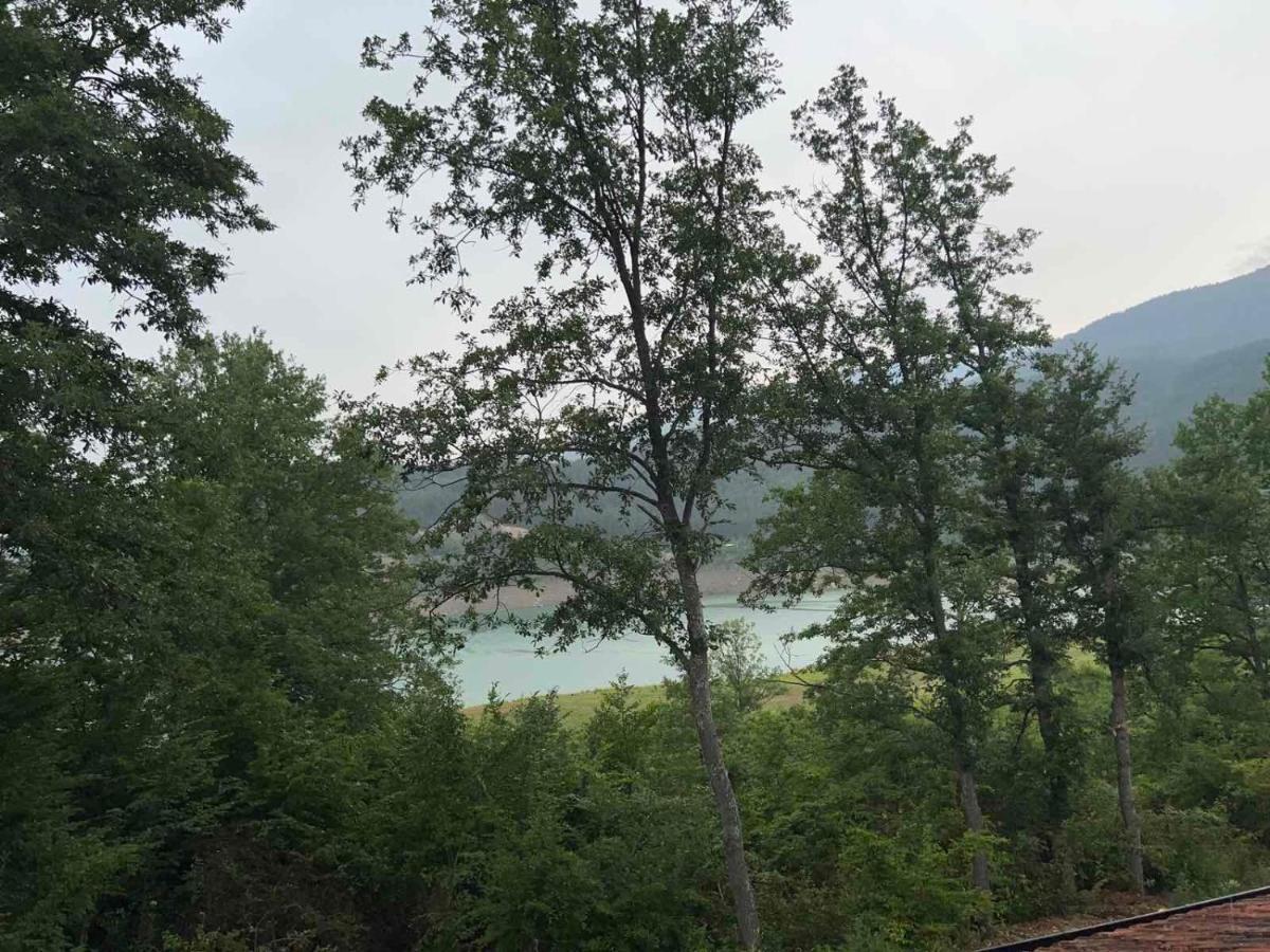 Zavojsko Jezero - Vila Jezero Pirot Kültér fotó